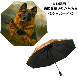 yzW[}VFp[h C J Jp ܂肽ݎP gь^  8{ I[i[ObY a99cm fB[X Y jp JP P 킢  ~J CO