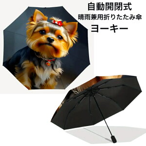 yz[NV[eA [L[ A J Jp ܂肽ݎP gь^  8{ I[i[ObY a99cm fB[X Y jp JP P 킢  ~J 