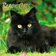 ★ ブラックキャット 黒猫 カレンダー 2027 壁掛け ブラウントラウト BrownTrout 動物 猫 クロネコ ねこ …