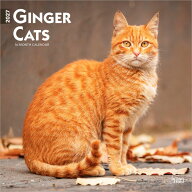 ジンジャーキャット 茶トラ カレンダー 2027 壁掛け ブラウントラウト BrownTrout オレンジキャット 猫 …