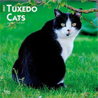 ★ タキシードキャット ハチワレ カレンダー 2027 壁掛け ブラウントラウト BrownTrout 愛猫 猫 ねこ cat…
