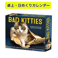 ★日めくりカレンダー カレンダー バッド・キティズ いたずら好きな仔猫【卓上/日めくり】BOX 2027年 令…