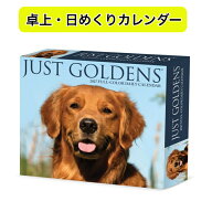 ★日めくりカレンダー ゴールデンレトリバー 【卓上/日めくり】BOX 2027年 令和9年 暦 ゴールデンレトリ…