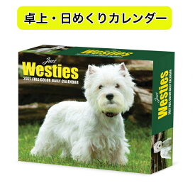 ★日めくりカレンダー 2027年 ウエストハイランドホワイトテリア ウエスティ 卓上 BOX 令和9年 暦 パピー 動物 ペットカレンダー 犬種別カレンダー 犬 ドッグ dog SDG’s 輸入 かわいい WILLOW CREEK デスクカレンダー プレゼントクリスマス