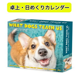 ★日めくりカレンダー 犬が教えてくれる事 【卓上/日めくり】BOX 2027年 令和9年 暦 パピー 動物 ペットカレンダー 犬種別カレンダー 犬 ドッグ DOG dog SDG’s WILLOW CREEK 輸入 かわいい デスクカレンダー 卓上カレンダー プレゼント ギフト クリスマス