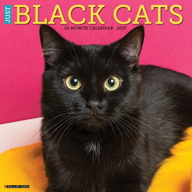★カレンダーブラックキャット 【レギュラーサイズ/壁掛け】 2027年 令和9年 暦 クロネコ 黒猫 猫 ネコ ねこ cat 動物 ペットカレンダー 猫カレンダー 月めくり 輸入 SDGs 海外版 かわいい 中綴じ WILLOW CREEK スクエアタイプ プレゼント 誕生日 クリスマス