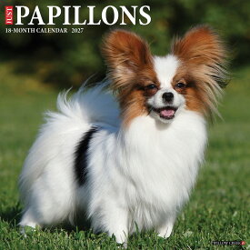 ★ カレンダー パピヨン 壁掛け 2027年 令和9年 暦 動物 成犬 パピー 仔犬 子犬 ペット 犬種カレンダー 犬 ドッグ dog 月めくり 輸入 SDGs かわいい 中綴じ WILLOW CREEK スケジュール 大判 プレゼント ギフト 贈り物 クリスマス トラストワンポイント