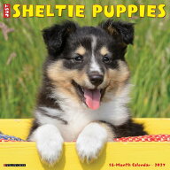 ★カレンダー シェットランドシープドッグ パピー シェルティ 壁掛け 2027年 令和9年 暦 動物 仔犬 子犬 …