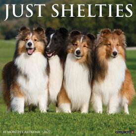 カレンダー シェットランドシープドッグ シェルティ 壁掛け 2027年 令和9年 暦 動物 成犬 パピー ペット 犬種カレンダー 犬 ドッグ dog 月めくり 輸入 SDGs かわいい 中綴じ WILLOW CREEK スケジュール 大判 プレゼント 贈り物 クリスマス トラストワンポイント