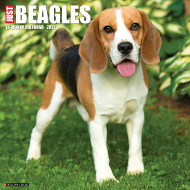★ カレンダー ビーグル 壁掛け 2027年 令和9年 暦 動物 パピー 成犬 ペット 犬種カレンダー 犬 ドッグ dog 月めくり 輸入 SDGs かわいい 中綴じ WILLOW CREEK スケジュール 大判 プレゼント ギフト 贈り物 誕生日、クリスマス トラストワンポイント