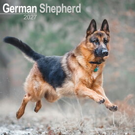 ★カレンダー ジャーマンシェパード 【レギュラーサイズ/壁掛け】犬 2027年 令和9年 暦 輸入 イギリス 動物 ペットカレンダー 犬種別カレンダー 警察犬 ドッグ dog 月めくり かわいい 中綴じ SDGs Avonside スクエアタイプ ギフト プレゼント クリスマス 誕生日