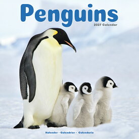 ★ カレンダー ペンギン 【レギュラーサイズ/壁掛け】 2027年 令和9年 暦 輸入 イギリス 海外版 鳥類 野生動物 動物 ペットカレンダー 鳥カレンダー 月めくり SDGs 輸入 かわいい 中綴じ Avonside スクエアタイプ クリスマス プレゼント ギフト クリスマス 誕生日