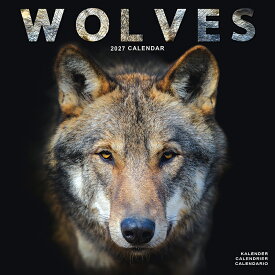 ★ カレンダー オオカミ ウルフ【レギュラーサイズ/壁掛け】 2027年 令和9年 暦 狼 WOLF 野生動物 動物 ペットカレンダー 月めくり 輸入 SDGs 海外版 かわいい 中綴じ Avonside スクエアタイプ クリスマス プレゼント ギフト 誕生日 クリスマス