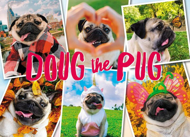 楽天市場 ジグソーパズル パグ パズル 1000ピース Doug The Pug ウィロー Willow Creek Press 輸入 犬 ドッグ Dog 動物 ペット アニマル ギフト 誕生日 プレゼント クリスマス グッズ かわいい 敬老の日 犬と動物 トラストワンポイント