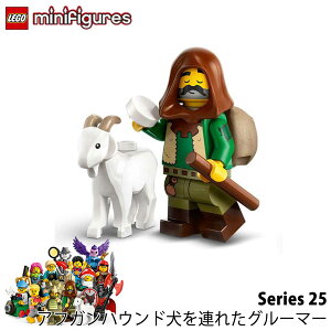 S ~jtBMA V[Y25 71045 - AtKnEhAꂽO[}[ Pet Groomer with an Afghan hound