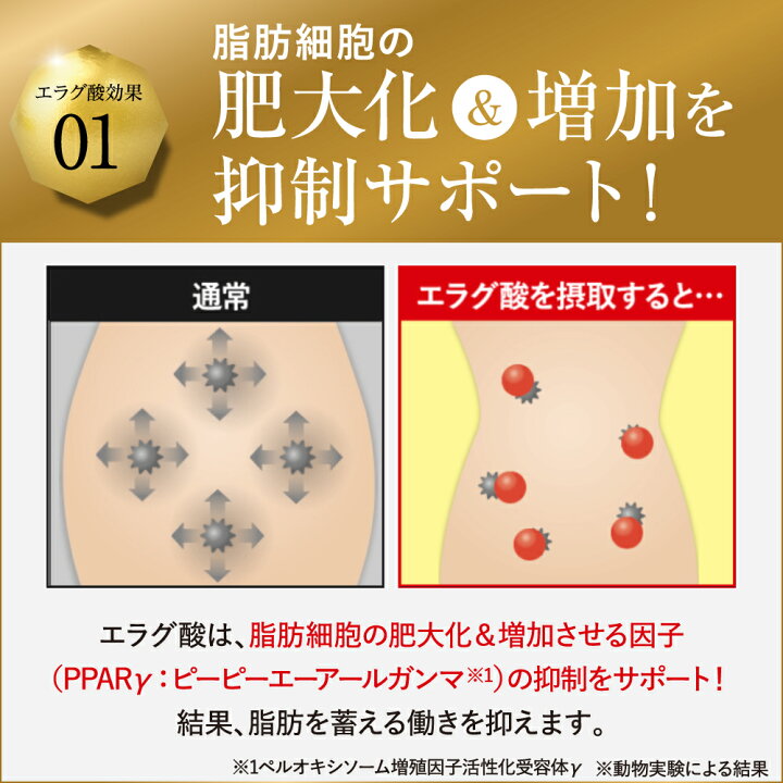 楽天市場】【公式】倖田來未 開発 キラーバーナー 2 機能性表示食品 