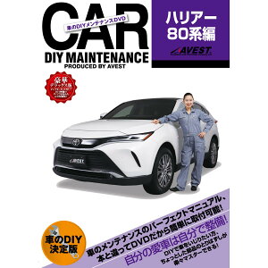 ԂDIYeiXDVD}jA nA[80n