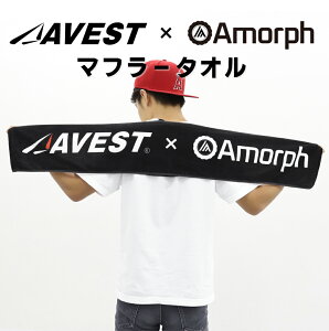 AVEST×Amorph IWi }t[^I AEghA Lv tFX X|[c Cxg S ItBVObY