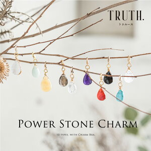 y`ÔݑzyszyTRUTH.zp[Xg[`[ J^ }XN VR `[ K^ ANZT[ d^ p[Xg[ ^ fB[X lbNX u  