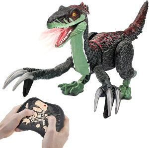  WR  f  ߋ NX}Xv[g j̎q q @\{bg ړ  