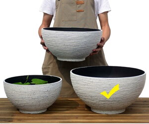  @ ^ O _J  vX`bN̖͑ @ y ɂ  _J A  r   ^Aؔ O A rIg[v e