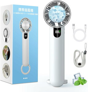 |@ y2025ĐVo -19uԗp&LCD&5iK͒߁znfBt@ pv[g 啗 5iK 4WAY (E莝E|EJrit) TYPE-C[d gѐ@ 