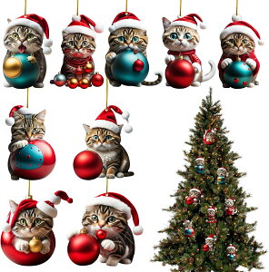 NX}X c[I[ig cTQ ݂艺 9_Zbg AN 킢L  fR[V CeA  Xܑ ?t y2025Vioz