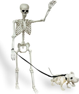 nEB [  ̊[ t Zbg  u vN`bN y  l` KCRc nEB [  [Zbg 165cmg XPg ~  | z[ 