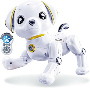 {bg ^   vO~O R y  dq ybg G ₵ qǂpd j̎q ̎q a v[g NX}X 蕨 ({bg-)