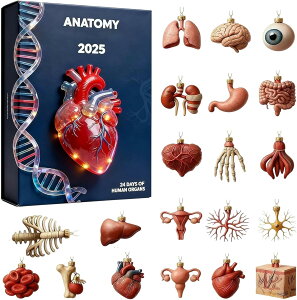 NX}XJ_[ S - g̊튯̑iAAhxgUwJ_[  wZ c[  t Ōt w a x NX}XJ_[ Ahxg 2025 ƒAItBXA