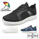 【ランキング受賞】 アーノルドパーマー スニーカー レディース AN0901 arnold palmer スポーツ トレーニング 通気性 軽量