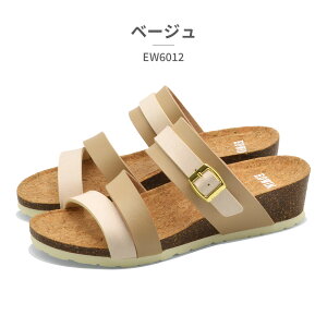 EDWIN T_ fB[X EW6012 GhEB 2025t EFbW\[