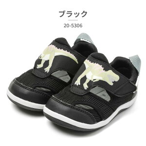 yLO܁z Ct~[ T_ LbY IFME PARK B Aj}EH[^[ 20-5306 2025t xr[ T}[V[Y EH[^[V[Y p yM T  eBmTEX