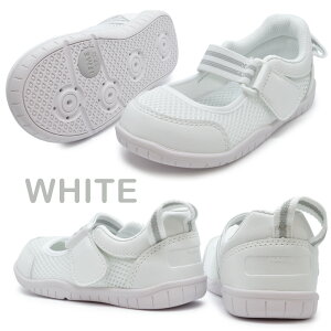 yLO܁z ySz Ct~[ 㗚 LbY SC-0003 SC0003 IFME oG^Cv XyAC\[