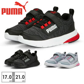 プーマ スニーカー キッズ エボルブ ストリート 389138 02 03 05 PUMA【ラッピング不可】 スポーツ ランニング ベルクロ