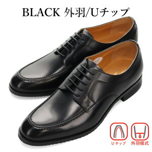 ySz via cammino rWlXV[Y Y VC8044 VC8045 VC8046 VC8047 VC8048 BAJ~[m }hXА {v Xg[g`bv U`bv OH H [t@[ 