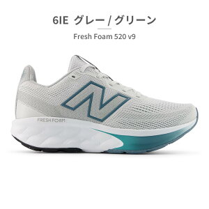�j���[�o�����X �X�j�[�J�[ �����Y �t���b�V���t�H�[�� 520 V9 M520 new balance �E�H�[�L���O Fresh Foam 520 v9 �X�|�[�c �W��