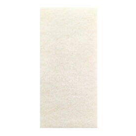 純正品 脱臭機 交換フィルターC551 富士通ゼネラル プラジオン HDS-302C HDS-302G HDS-302R 交換用 集塵フィルター フィルター 集じんフィルター プラズィオン PLAZION HDS302C HDS302G HDS302R