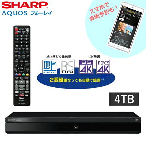 u[CR[_[ 4TB ANIX V[v 2ԑg^ u[CfBXNR[_[ _u`[i[ X}zΉ [g  ^ DVD Rt SHARP AQUOS u[C 4B-C40EW3 4BC