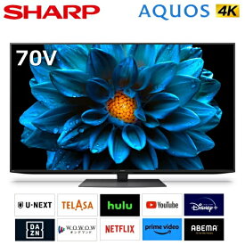 シャープ AQUOS 70インチ 液晶テレビ 4T-C70DN1 4Kダブルチューナー内蔵 70型 70V 4K 4K液晶テレビ 液晶TV Netflix YouTube Hulu Prime Video 地上 BS 4TC70DN1 SHARP 4Kテレビ 【標準設置無料】【代引き不可】