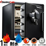 セントリー 耐火・耐水金庫 金庫 テンキー+チューブラーキー式 1時間耐火 A4ファイル収納 鍵付ドロワー付…