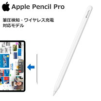 楽天市場】Apple Pencil Proの通販