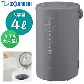 【11月25日入荷予定】象印 スチーム式加湿器 容量4L 加湿器 加湿機 スチーム式 スチーム加湿器 木造8畳 プレハブ13畳 入切タイマー ZOJIRUSHI EE-DF50-HA EE-DF50 EEDF50 グレー