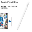 アップルペンシル プロ 国内正規品 Apple Pencil Pro 新品 アップル ペンシル ApplePencilPro 側面充電 最新 タッチペ…