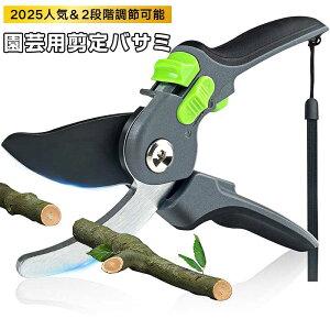 y2025lC z|poT~ 2iK߉\ ΂ ₷TNTN؂ lC  SK5Yf|   }؂ ʎ ~ 뉀   ͂ yʉ