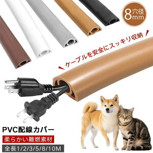 y 1/2/3/5/8/10[gzzJo[ [ zB P[uJo[ PVC _炩 Rf R̂h ʋC ≏ tBbg R[hJo[ ʃe[v [ zJo[  S a