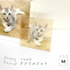 アクリルフォト 正方形 Mサイズ 127×127mm 写真 プリント アクリルプレート アクスタ うちの子 ペット 家族写真 思い出 送料無料