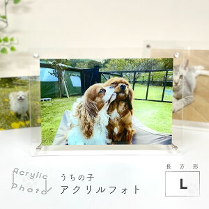 ANtHg ` LTCY 210×297mm ʐ^ vg ANv[g ANX^ ̎q ybg Ƒʐ^ vo 