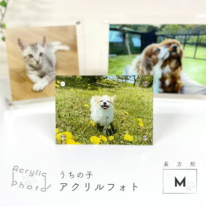 ANtHg ` MTCY 127×178mm ʐ^ vg ANv[g ANX^ ̎q ybg Ƒʐ^ vo 