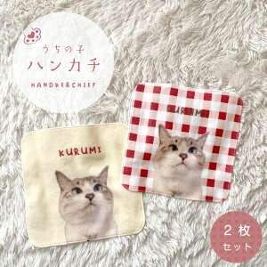 ̎qnJ` ~j^I ʐ^  2Zbg 20×20cm MK`FbN ybg  L nX^[  ̎qObY ybgObY ^I IWi^I